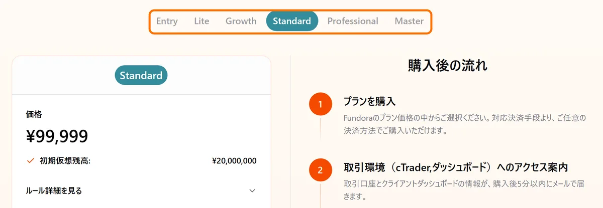 Fundora公式の購入ページ。プランのタブとStandardの価格99,999円、購入後の流れ